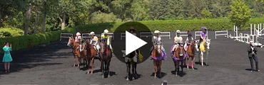 Summer Horse Riding Camp 2024