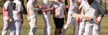 Canberra Social Cricket
