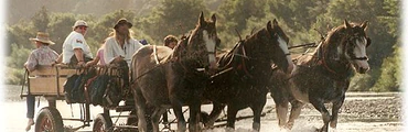 14 Day Pioneering Odyssey Trek