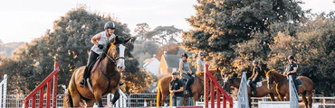 Oaklands Riding School