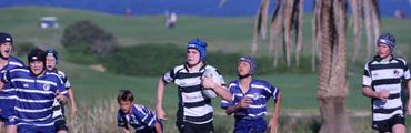Juniors Collaroy Cougars Junior Rugby