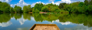 Patshull Park Fishery