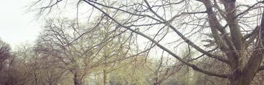 Yoga in Finsbury Park