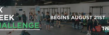 Tribe41 Six Week Challenge