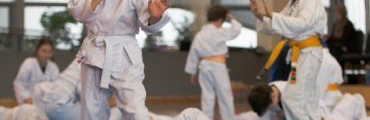 Kids Karate Martial Arts Classes
