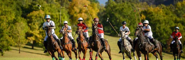 La Dolfina Cup 2024