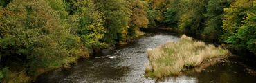 Whitewell Fishing Association