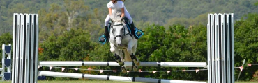 Ethereal Equestrian