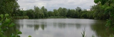 Brookhall Lake Fishing Event