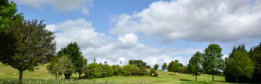 Flint Mountain Park Golf Course