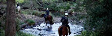 Numinbah Valley Bush Camping