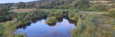 Bait fishing for Rainbow Trout at Greenhill Fishery Island Pool