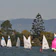 Sailing Race Event