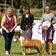 Bull Terrier Club of Western Australia Bully Walk