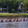 Local Rowing Regatta