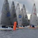 Polar Pursuit Race