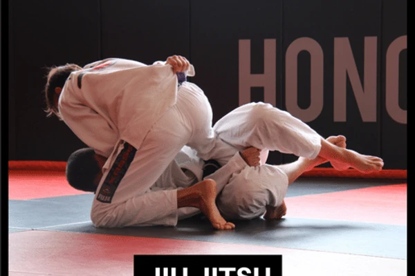 Ultimate Jiu Jitsu Seminar & Grading