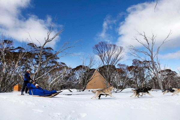 Dinner Plain Beginner Lessons