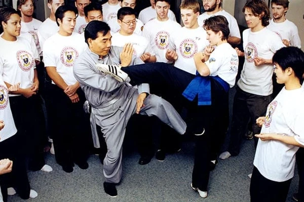 Little Dragons Martial Arts Class