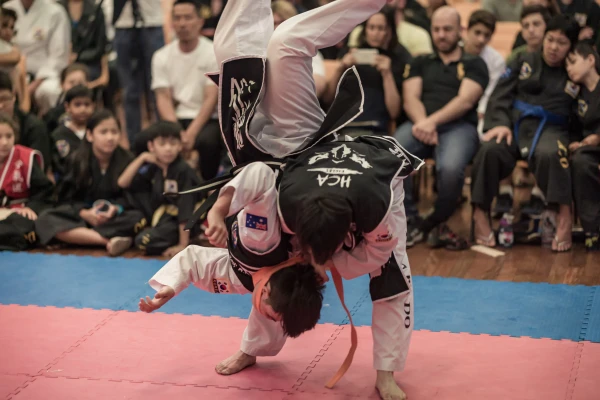 Hapkido College of Australia Classes
