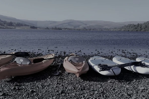 SUP Expedition, Forage & Forest Bathing