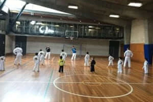 Kyokushin Karate