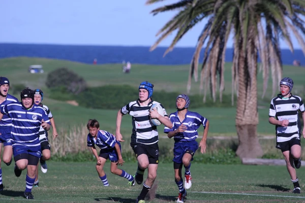 Juniors Collaroy Cougars Junior Rugby