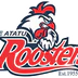 Te Atatu Roosters Rugby League Club
