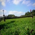 JUMPING 88 SARL