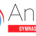 Anima Gymnastics Club Barnet