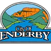 Enderby Riverside Park and Ball Diamonds