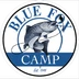Blue Fox Camp