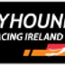 Youghal Greyhound Racing Company Limited