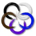 Adult BJJ Classes