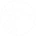 Temple Martial Arts Birmingham City Centre