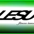 LESU FITNESS INNOVATION Ltd