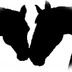 Burton Grange Equestrian