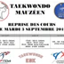 Taekwondo Mauzéen
