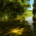 Bintry Mill Trout Fishery