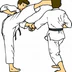 CWR Karate Club
