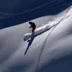 Ski de randonnée à la Vallée de Chamonix