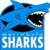 Merimbula Basketball