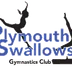 Plymouth Swallows School Of Gymnastics
