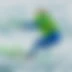 Xtrem Water Sports Six Fours Parachute Ascensionnel, Bouée, Ski Nautique, Wake-Board