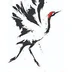 Marple Tai Chi Club