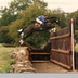 Ingestre Stables