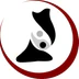Aikido Adelaide