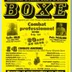 Boxe pessac Alouette