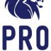 Pro Eleven Football Academy