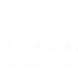 Dragonfly Dance & Performing Arts